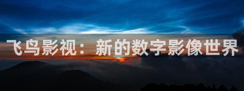 好看影院在线观看：飞鸟影视：新的数字影像世界