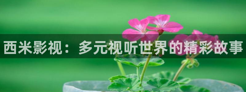 四虎好看影院：西米影视：多元视听世界的精彩故事