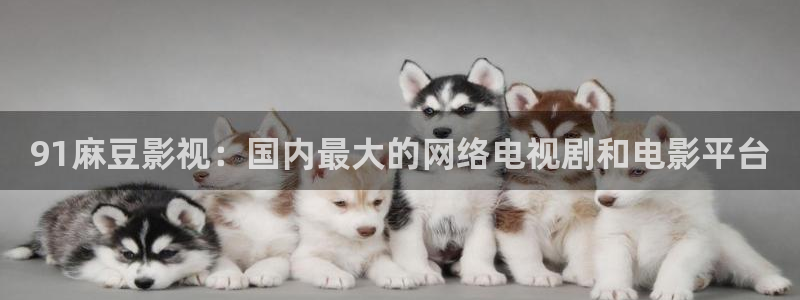 《四库影视》电视剧在线观看-好看影院