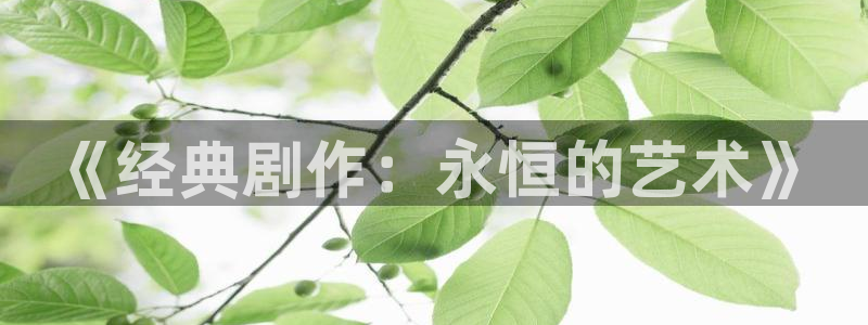 好看影院在线观看电影：《经典剧作：永恒的艺术》