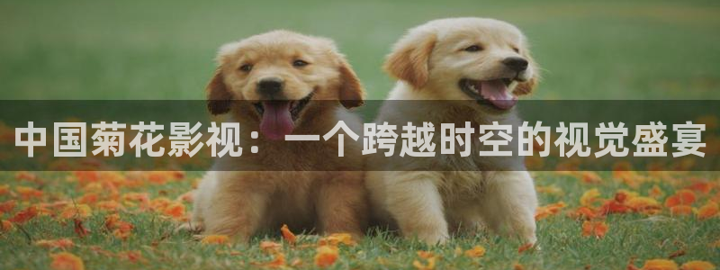 好看影院大全：中国菊花影视：一个跨越时空的视觉盛宴